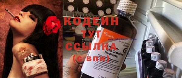 дмт Костерёво