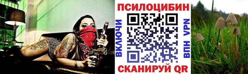 Псилоцибиновые грибы Psilocybine cubensis  Купить закладки  Первомайск 